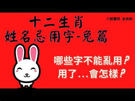 屬兔適合的字